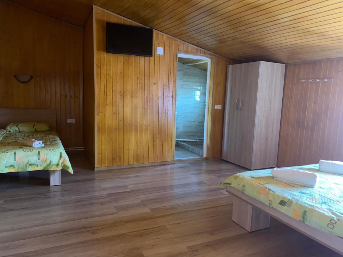 Casa Blendea Daniela Hotel Cârțișoara Exterior photo