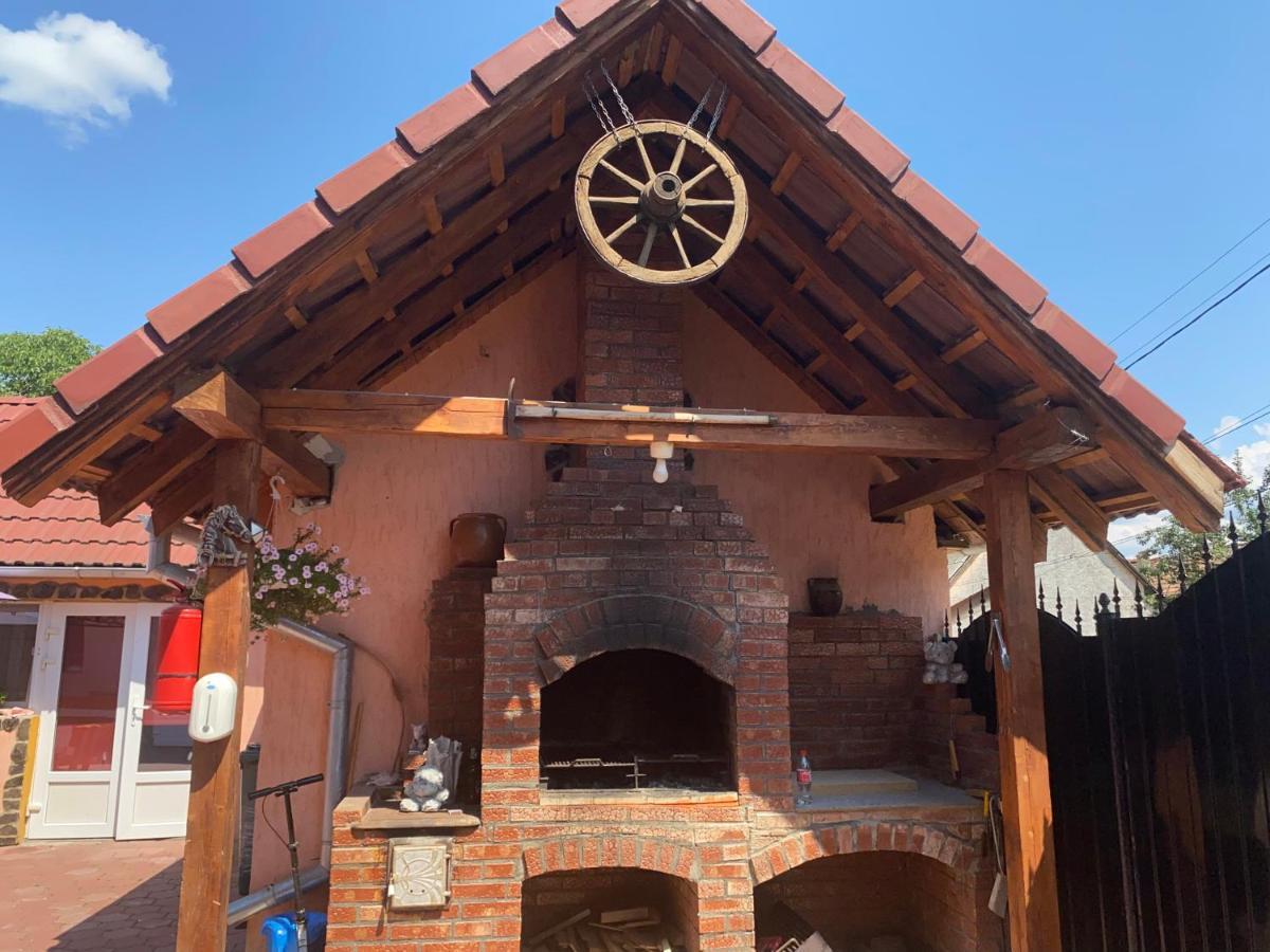 Casa Blendea Daniela Hotel Cârțișoara Exterior photo