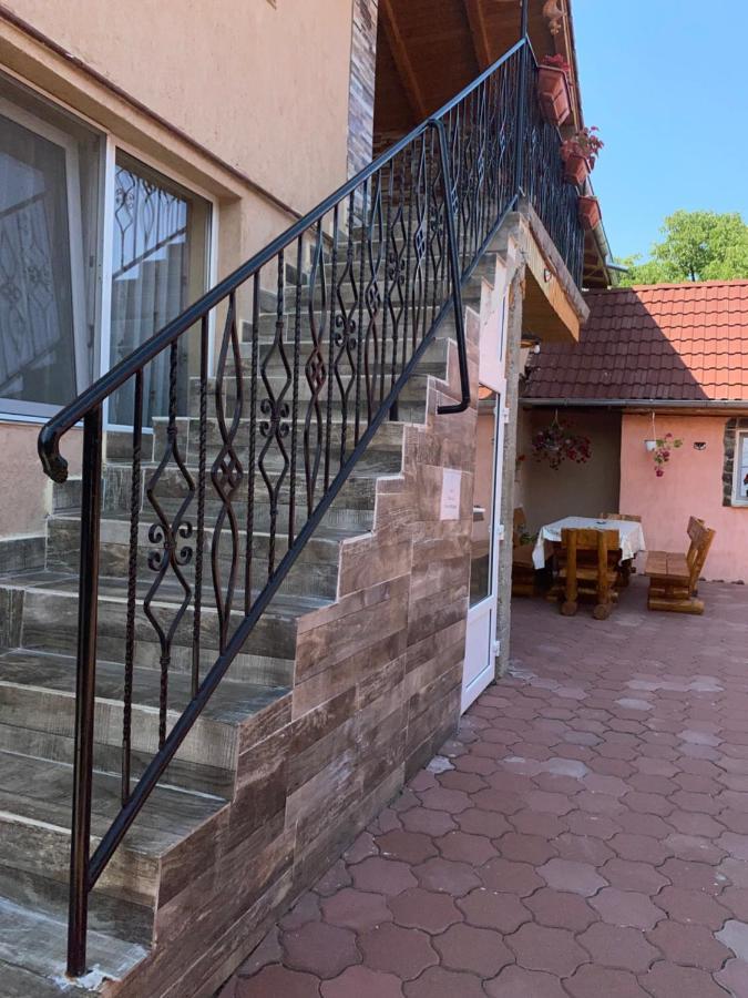 Casa Blendea Daniela Hotel Cârțișoara Exterior photo