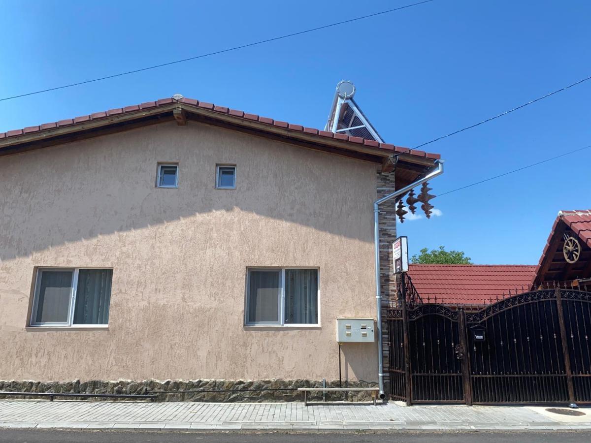 Casa Blendea Daniela Hotel Cârțișoara Exterior photo