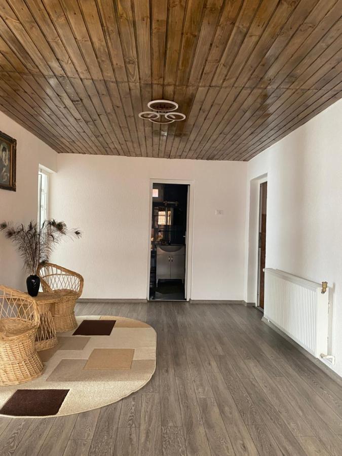 Casa Blendea Daniela Hotel Cârțișoara Exterior photo